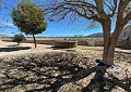 Belle ferme de 140 ans à Salinas in Alicante Property