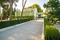 Luxuriöse Villa in Aspe, nur wenige Gehminuten von der Stadt entfernt in Alicante Property