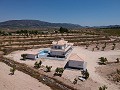 Villas de nouvelle construction à Pinoso avec piscine et terrain in Alicante Property