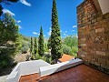 Dos casas mas ruinas y gran cantidad de terreno in Alicante Property