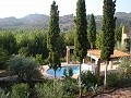 Dos casas mas ruinas y gran cantidad de terreno in Alicante Property