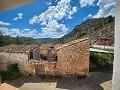 Dos casas mas ruinas y gran cantidad de terreno in Alicante Property