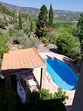 Dos casas mas ruinas y gran cantidad de terreno in Alicante Property