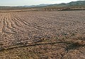 Terrain à bâtir à Salinas avec électricité à proximité et eau in Alicante Property