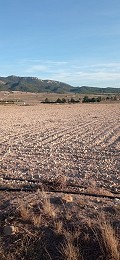 Terrain à bâtir à Salinas avec électricité à proximité et eau in Alicante Property