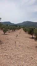 Baugrundstück in Salinas mit Strom in der Nähe und Wasser in Alicante Property