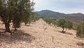 Baugrundstück in Salinas mit Strom in der Nähe und Wasser in Alicante Property