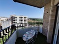 Apartment in Elche in Alicante Property