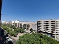 Apartment in Elche in Alicante Property