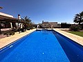 Detached villa in Pinoso with a guest annex and pool in Alicante Property