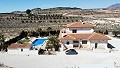 Detached villa in Pinoso with a guest annex and pool in Alicante Property