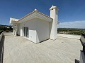 Nieuwbouw villa's met wow! factor in Alicante Property