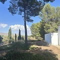 Villa de 4 chambres avec façade modernisée et piscine in Alicante Property