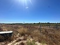 Long terrain à bâtir de 10 000 m² à Pinoso in Alicante Property