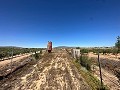 Long terrain à bâtir de 10 000 m² à Pinoso in Alicante Property