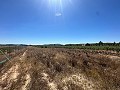 Long terrain à bâtir de 10 000 m² à Pinoso in Alicante Property