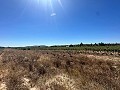 Long terrain à bâtir de 10 000 m² à Pinoso in Alicante Property