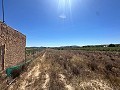 Long terrain à bâtir de 10 000 m² à Pinoso in Alicante Property