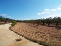 Gran casa de campo, a poca distancia de la ciudad in Alicante Property