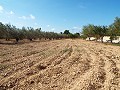 Gran casa de campo, a poca distancia de la ciudad in Alicante Property