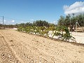 Gran casa de campo, a poca distancia de la ciudad in Alicante Property