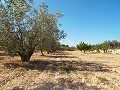 Gran casa de campo, a poca distancia de la ciudad in Alicante Property