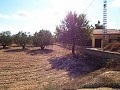 Gran casa de campo, a poca distancia de la ciudad in Alicante Property