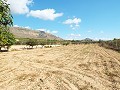 Gran casa de campo, a poca distancia de la ciudad in Alicante Property