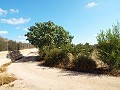 Gran casa de campo, a poca distancia de la ciudad in Alicante Property