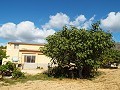 Gran casa de campo, a poca distancia de la ciudad in Alicante Property