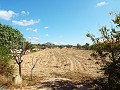 Gran casa de campo, a poca distancia de la ciudad in Alicante Property