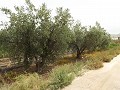 Grundstück in der Nähe von Alenda Golf in Alicante Property