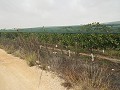 Grundstück in der Nähe von Alenda Golf in Alicante Property