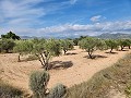 Grond in Sax met water en klein huis in Alicante Property