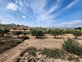 Grond in Sax met water en klein huis in Alicante Property