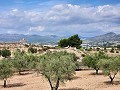 Grond in Sax met water en klein huis in Alicante Property