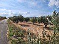 Grond in Sax met water en klein huis in Alicante Property