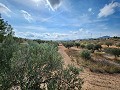 Grond in Sax met water en klein huis in Alicante Property