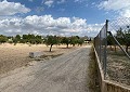 4-Schlafzimmer-Villa mit Pool, nur 500 Meter zu Fuß von der Stadt Sax entfernt in Alicante Property