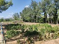 Country House with a pool and outbuildings in Alicante Property