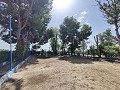 Country House with a pool and outbuildings in Alicante Property