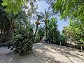 Country House with a pool and outbuildings in Alicante Property