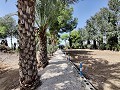 Country House with a pool and outbuildings in Alicante Property