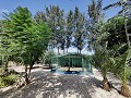 Country House with a pool and outbuildings in Alicante Property