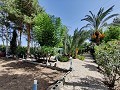 Country House with a pool and outbuildings in Alicante Property