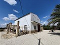 Two properties on one plot in Crevillente in Alicante Property