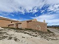 Casa histórica y bodega en Pinoso in Alicante Property