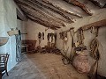 Casa histórica y bodega en Pinoso in Alicante Property