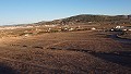 Terrains à bâtir à proximité de la ville, à Pinoso in Alicante Property