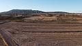 Terrains à bâtir à proximité de la ville, à Pinoso in Alicante Property